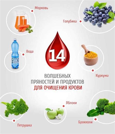 Лучшие продукты для очистки организма от лантана