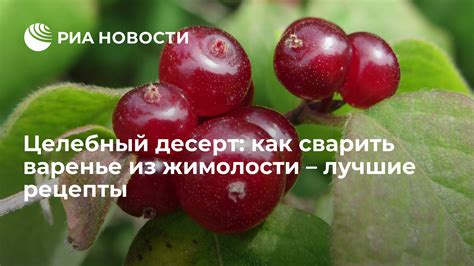 Лучшие рецепты приготовления жимолости на зиму