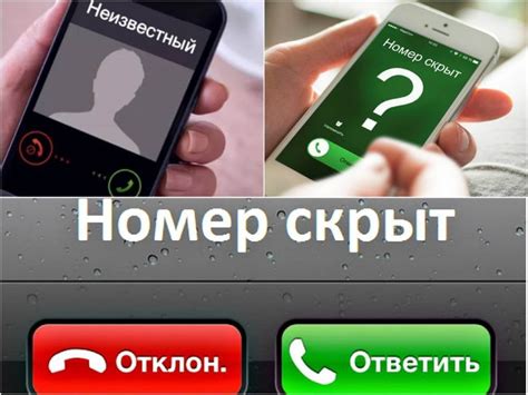 Лучшие сервисы для поиска номера абонента NTV Plus