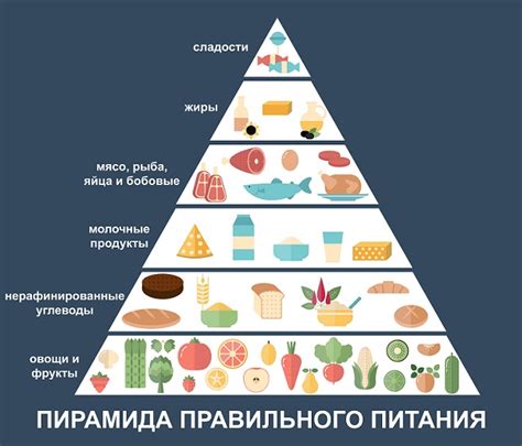 Лучшие советы для организации правильного питания