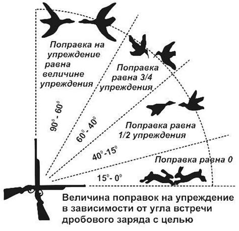 Лучшие советы для точной стрельбы