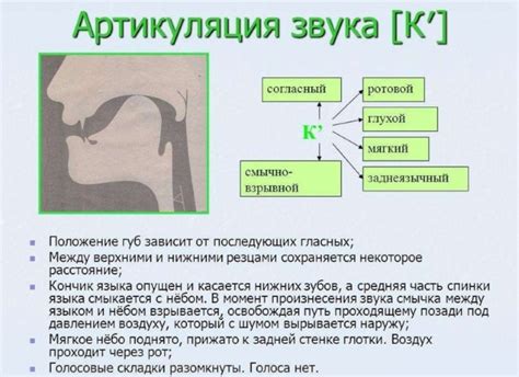 Лучшие способы для утолщения звука бита
