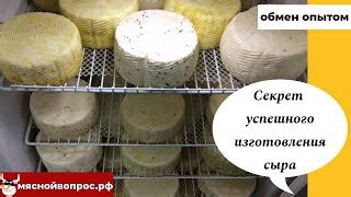 Лучшие способы и советы для успешного изготовления кю