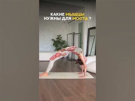 Лучшие техники для начинающих