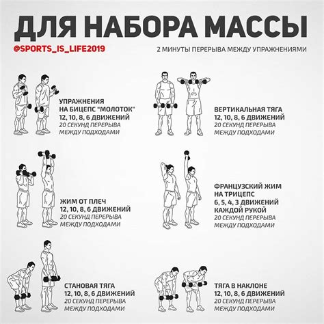 Лучшие упражнения для набора мышцы дома