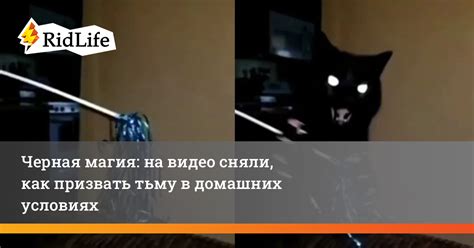 Магия, что разжигает тьму