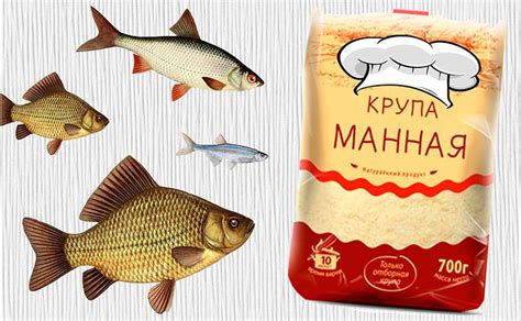 Магия манки: идеальные рецепты и стратегии для рыбалки с ревтритом