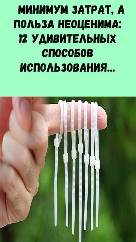 Максимальная польза без излишних затрат - топовые советы