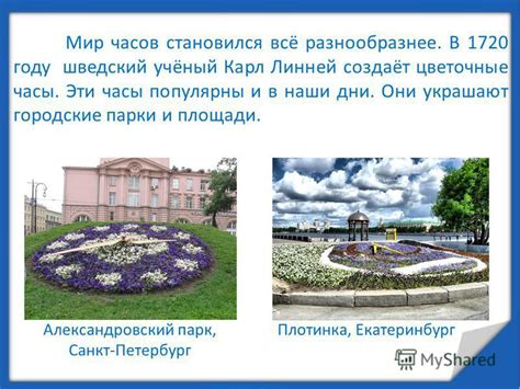 Малые радости украшают наши дни