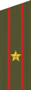 Медали на ВКПО: особенности оформления
