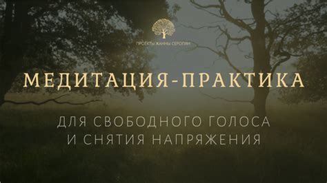Медитация для снятия напряжения в цюпе
