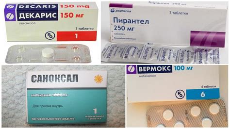 Медицинские препараты от глистов: выбор и правила применения