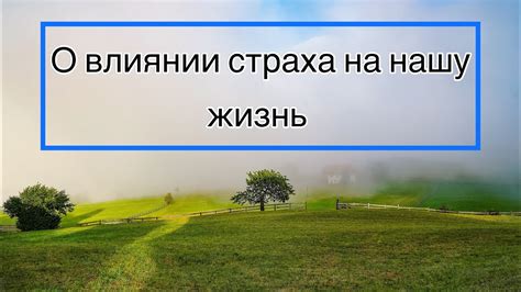 Меланин - главный враг блонд на пути касаний с рыжей нежностью