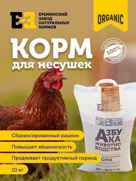 Меры охраны для куриц