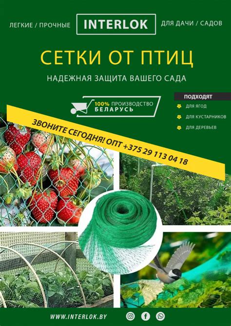 Место приобретения сетки от птиц
