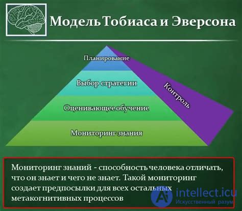 Метакогнитивные процессы и рефлексия
