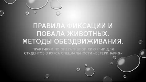 Методы безопасного временного обездвиживания ноги