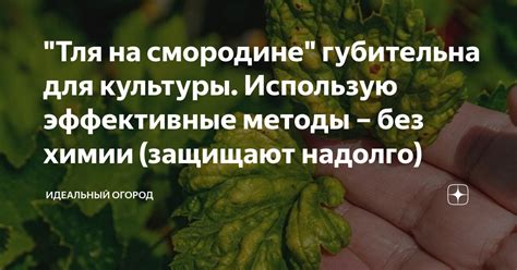 Методы без химии