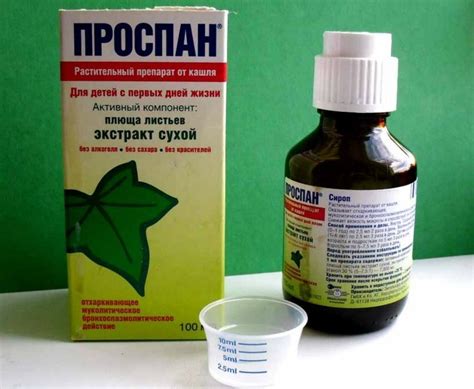 Методы борьбы с плющом: эффективность и ограничения