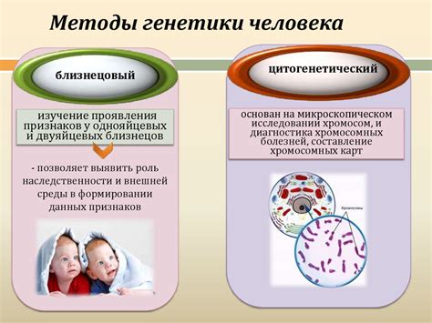 Методы генеалогического исследования для определения происхождения фамилии
