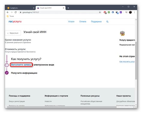 Методы для получения ИНН через онлайн-сервисы