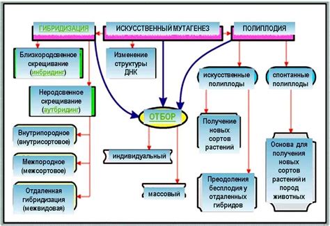 Методы изменения