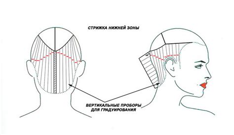 Методы измерения длины волос