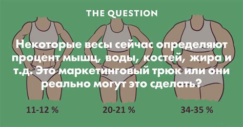 Методы измерения отложений жира