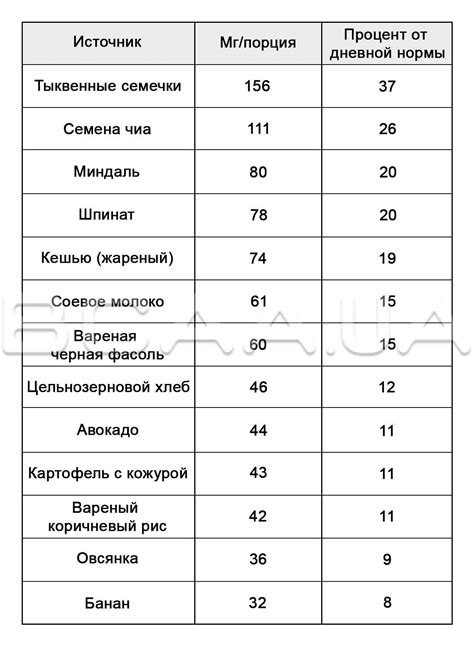 Методы изучения работы сосудов организма: всё, что нужно знать