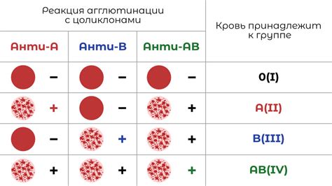 Методы и алгоритмы определения группы крови человека