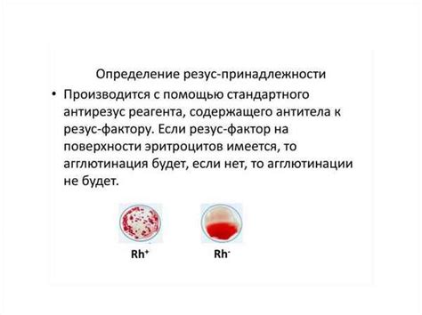 Методы и анализы для определения совместимости резус-фактора