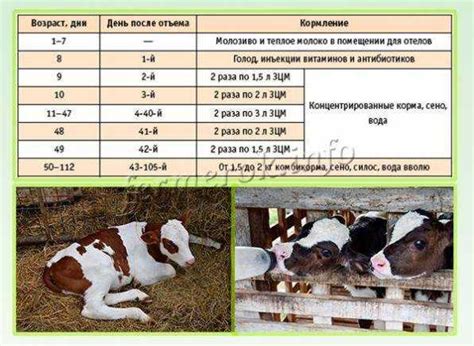 Методы и советы для проверки щекоту новорожденных