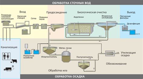 Методы механической очистки гороха