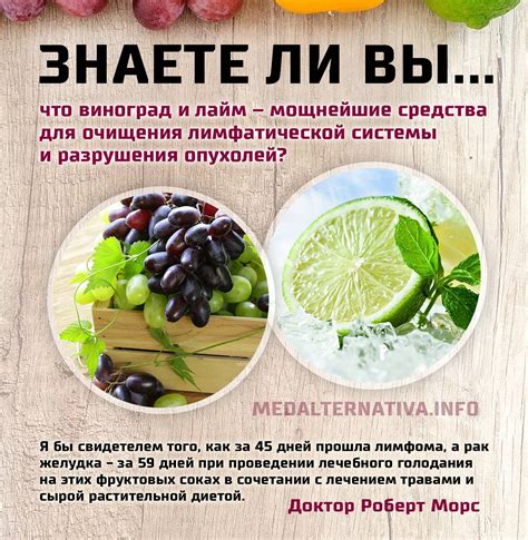 Методы очистки лимфы в домашних условиях