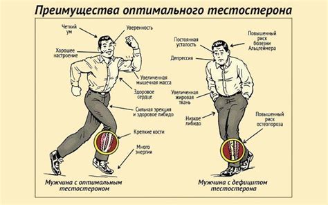 Методы повышения либидо у мужчин после 40 лет
