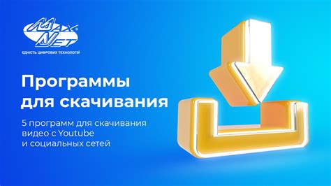 Методы скачивания видео для быстрого доступа к популярной социальной сети