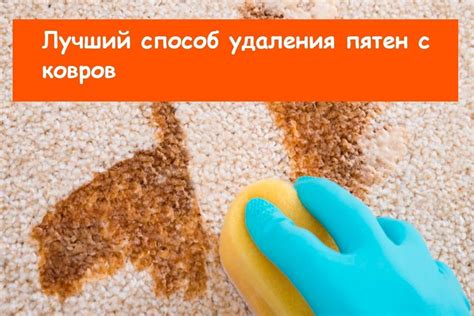 Методы удаления пятен с ковров