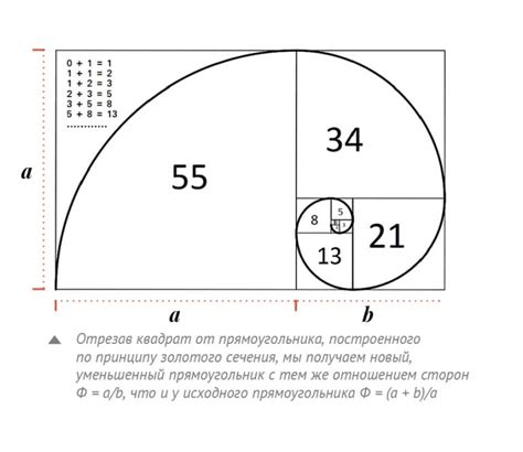 Метод Фибоначчи