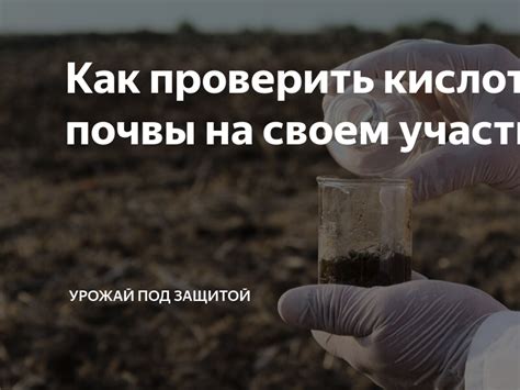 Метод пиаша: Как проверить плодородность почвы