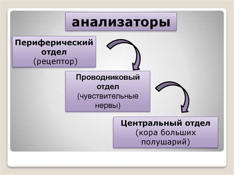 Метод 4: Использование электрохимического анализатора