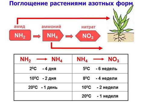 Метод 8: Использование аммиачной смеси