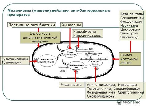 Механизмы действия ацетиловой кислоты на организм