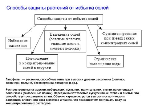 Механизмы обезвоживания рта при стрессе