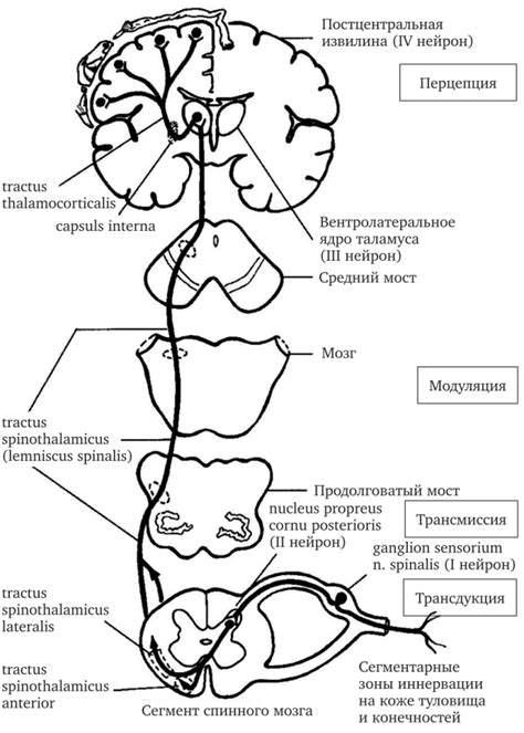 Механизм возникновения загадочной дырки