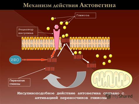 Механизм действия Актовегина