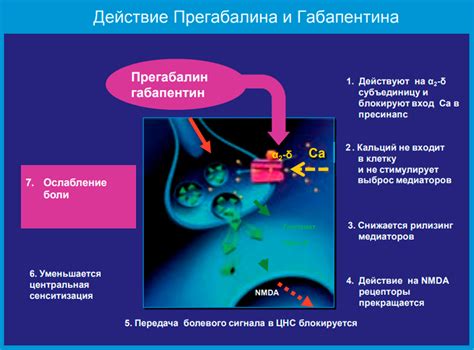 Механизм действия пульсаций