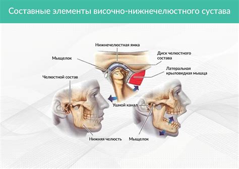 Механизм образования спазмов