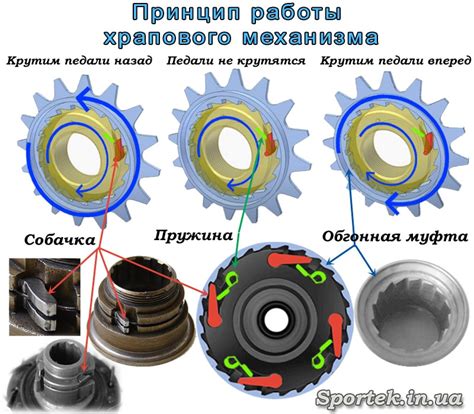 Механизм работы плиты в стакане