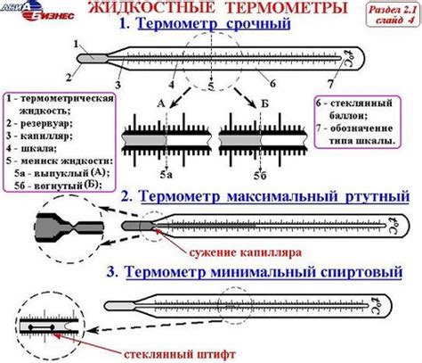 Механизм работы термометра
