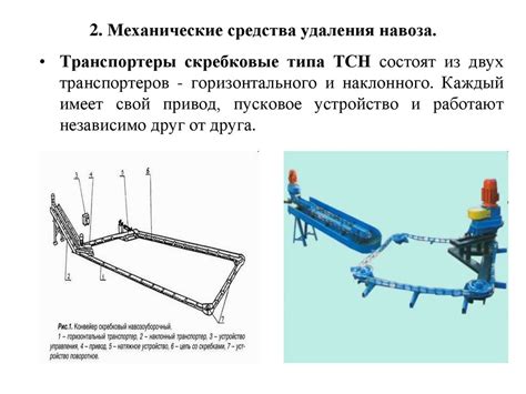 Механические способы удаления щитовки